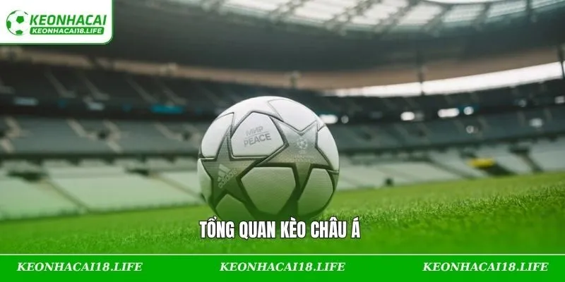Khái quát sơ lược về tỷ lệ châu Á
