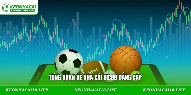 Tổng quan về nhà cái VIC88 đẳng cấp